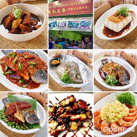 Negeri Sembilan, Seremban, grilled fish, grilled tilapia with salt, shrimp, tofu, steamed fish, vinegar pork  