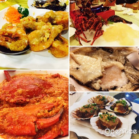 unique seafood, 奇怪号线酒家, ipoh, 怡保, 蜘蛛蟹, 龙虾
