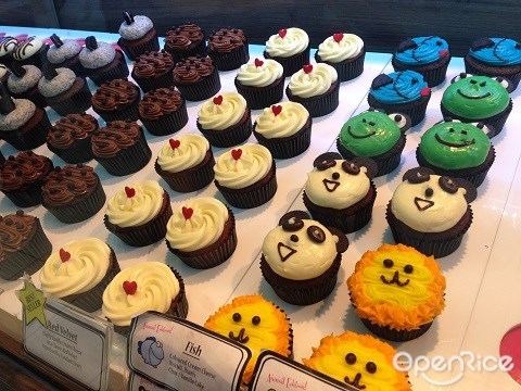 Twelve Cupcakes, Cupcake, Dessert