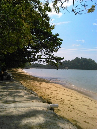 Take a walk on the beach after lunch!